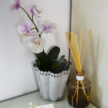 安提乐卡达里多酒店 酒店 3*